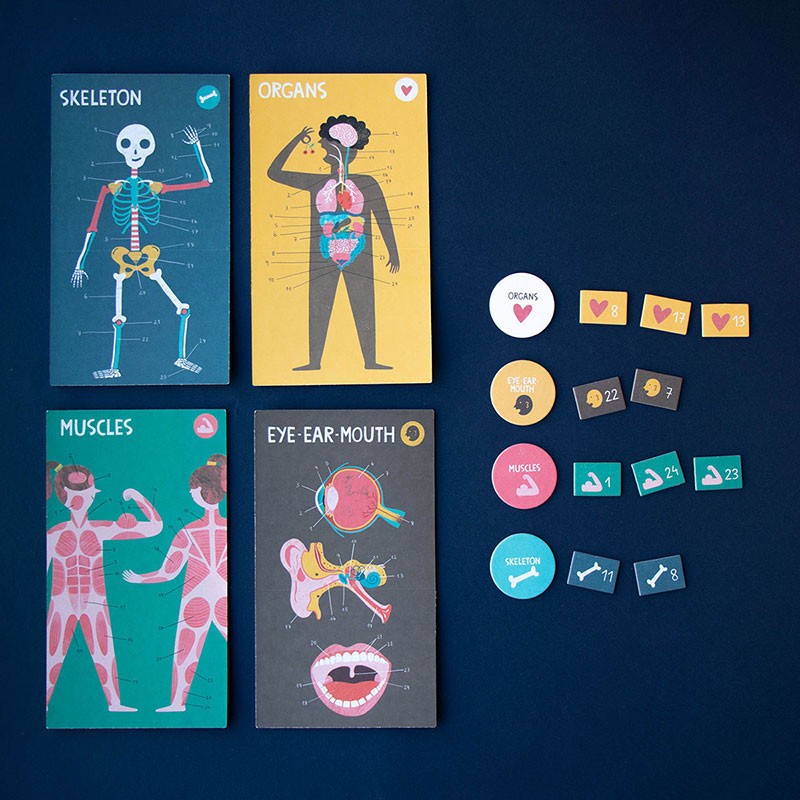 Inside Me - Spiel zum Lernen der Namen und Positionen von Muskeln, Knochen & Oganen