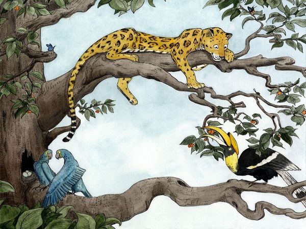 Der Wald ohne Bäume von Jeanne Lohff