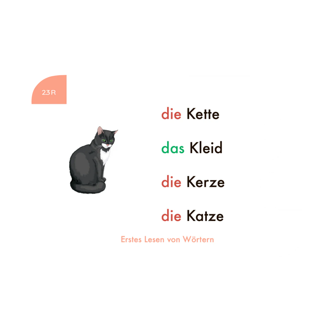 Erstes Lesen von Wörtern, 1. Klasse - Kartensatz für den Lochkasten
